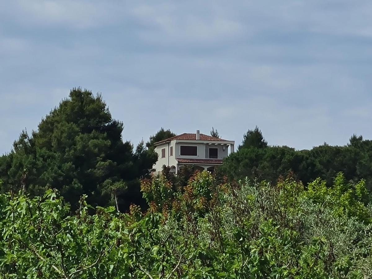 Alghero - House With Panoramic View Immersed In Full Nature Exterior foto